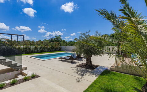 Villa Sandro: Plant, Cloud, Sky, Water, Swimming Pool, Azure, Shade, Land Lot, Tree, Body Of Water