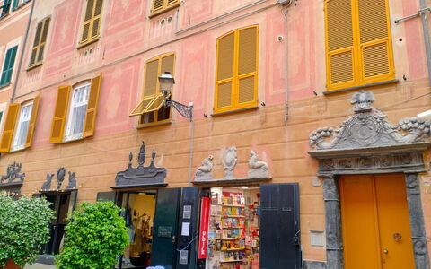 Silent Bay Historical: Plant, Property, Window, Building, Door, Flowerpot, Orange, Yellow, Neighbourhood