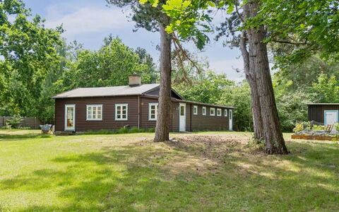 Heidl - 1.3Km to the Fjord: Grass, Tree, Building, Branch, Shrub, House, Home, Landscape, Plain