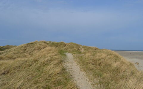 Hariet - 300M from the Sea: Thatching, Cottage, House, Roof, Home, Farmhouse, Hut, Estate, Village