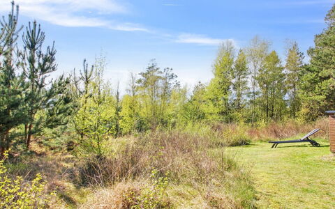 Efimija - 1.4Km from the Sea: Sky, Grass, Tree, Natural Environment, Leaf, Vegetation, Natural Landscape, Shrub, Grassland, Land Lot