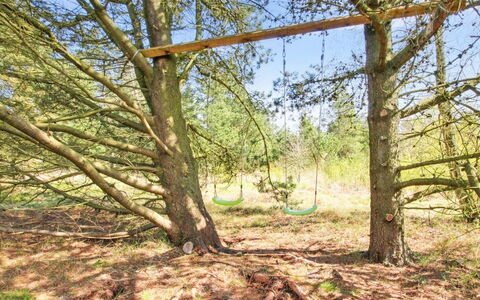 Efimija - 1.4Km from the Sea: Branch, Wood, Twig, Trunk, Nature Reserve, Forest, Woody Plant, Woodland, Soil