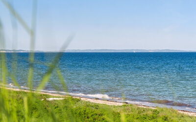 Jolanta - 20M from the Sea
