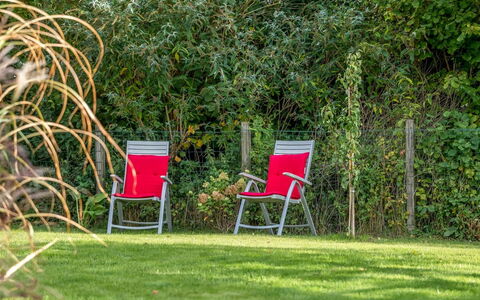Milrid - 100M from the Sea: Furniture, Green, Chair, Outdoor Furniture, Shrub, Folding Chair, Garden, Groundcover, Lawn