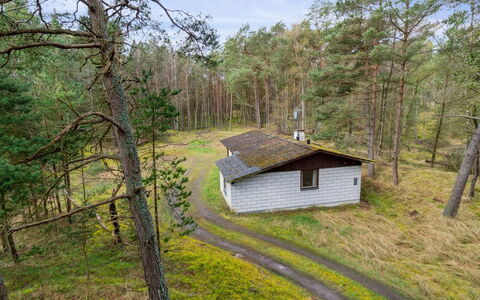 Awa - 800M from the Sea: Tree, Wood, Forest, Land Lot, Cottage, Rural Area, Woodland, Shed