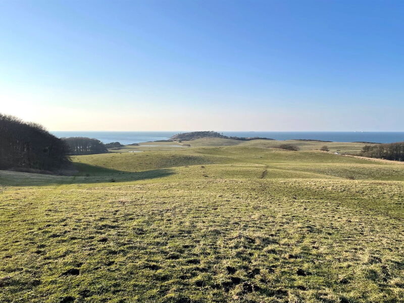 Gjuro - 800M from the Sea