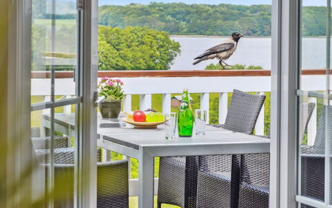 Isbiorn - 300M from the Sea: Grass, Grassland, Landscape, Ecoregion, Plain, Plant Community, Land Lot, Outdoor Furniture, Prairie, Shrubland