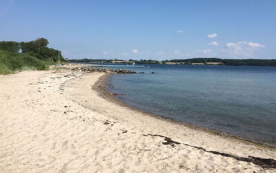 Isbiorn - 300M from the Sea