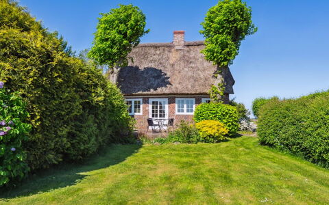 Gerwendil - 17Km from the Sea: Grass, Grassland, Landscape, Ecoregion, Plain, Plant Community, Land Lot, Outdoor Furniture, Prairie, Shrubland