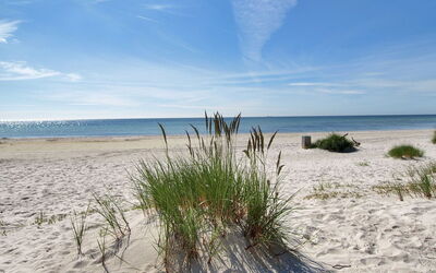 Zekine - 200M from the Sea