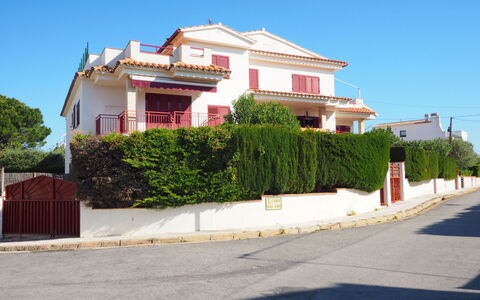 Aloha: Sky, Plant, Building, Window, House, Tree, Road Surface, Land Lot, Asphalt, Residential Area