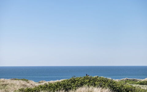 Carit - 450M from the Sea: Grass, Green, House, Cottage, Grassland, Rural Area, Ecoregion, Landscape, Land Lot, Shrub