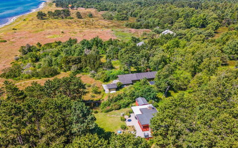 Auli - 125M from the Sea: Vegetation, Landscape, Ecoregion, Plant Community, Bird'S-Eye View, Plantation, Aerial Photography, Chaparral, Shrubland