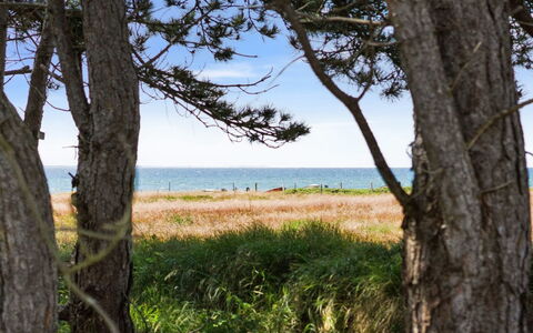 Auli - 125M from the Sea: Blue, Green, Grass, Natural Environment, Wood, Summer, Ecoregion, Sea, Grassland, Coast
