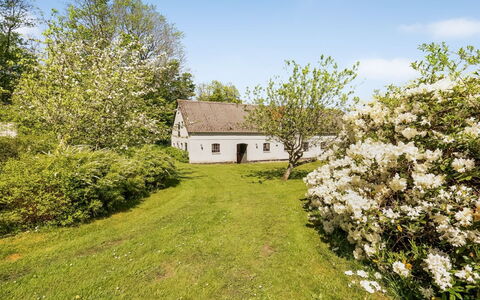 Ejnarine - 600M to the Fjord: Tree, Grass, Branch, Shrub, Rural Area, Cottage, Twig, Spring, Meadow