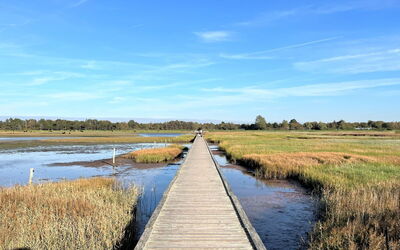 Zezilie - 500M from the Sea
