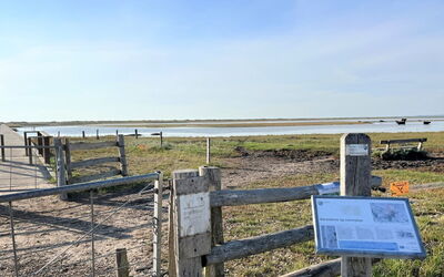 Zezilie - 500M from the Sea