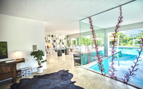 Terrasini Luxury Villa: Plant, Picture Frame, Water, Swimming Pool, Houseplant, Green, Flowerpot, Building, Floor, Flooring