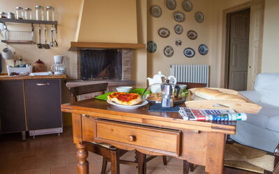Accommodation:&nbsp;Cassiopea