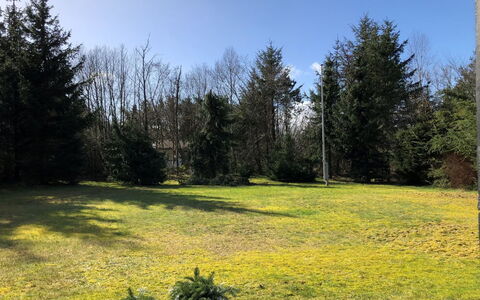 Bosse - from the Sea: Green, Leaf, Grass, Yellow, Shrub, Landscape, Garden, Land Lot, Lawn, Plain