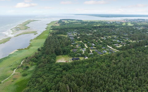 Ingwin - from the Sea: Residential Area, Shrub, House, Home, Garden, Estate, Shade, Landscaping, Lawn