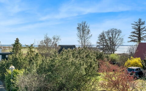 Eikka - 100M from the Sea: Sky, Blue, Shrub, Garden, Landscaping, Evergreen, Cumulus, Pine Family