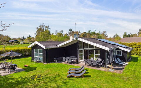 Amiira - 500M from the Sea
