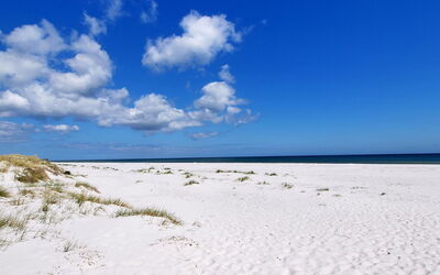 Bothilda - 950M from the Sea