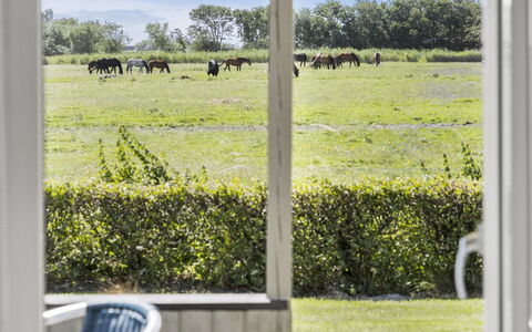 Janin - 400M from the Sea: Blue, Shrub, Cottage, Groundcover, Garden, Estate, Shade, Landscaping, Farmhouse, Eco Hotel