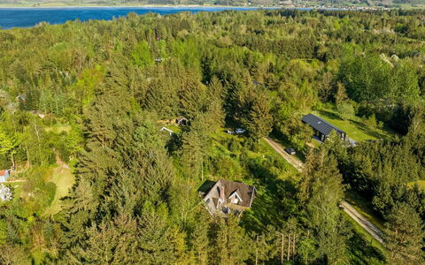 Niesina - 600M to the Fjord: Tree, Natural Environment, Vegetation, Landscape, Bird'S-Eye View, Aerial Photography, Land Lot, Rural Area, Forest, Plantation