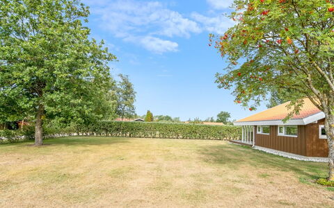 Maira - from the Sea: Grass, Tree, Plain, Landscape, Shrub, Land Lot, Home, Rural Area, Garden
