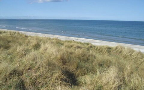Frithbjorn - 900M from the Sea: 