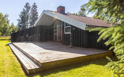 Olli - 600M from the Sea: Grass, Grassland, Land Lot, Cottage, Rural Area, Meadow, Garden Buildings, Garden, Shed