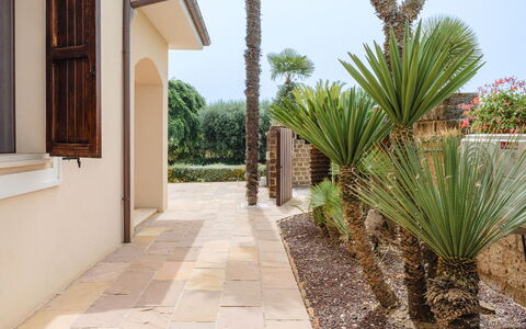 Cyca Holiday Home: Plant, Building, Sky, Tree, Arecales, Terrestrial Plant, Shade, Real Estate, Landscape, Facade