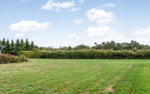 Lari - 600M from the Sea: Tree, Natural Environment, Green, Grassland, Shrub, Plain, Land Lot, Field, Groundcover