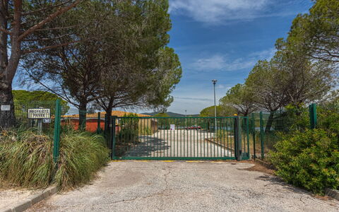 Les Palmiers: Plant, Cloud, Sky, Road Surface, Tree, Land Lot, Shade, Residential Area, Fence, Grass