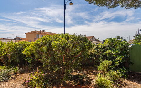 Les Palmiers: Shrub, Garden, Landscaping, Path