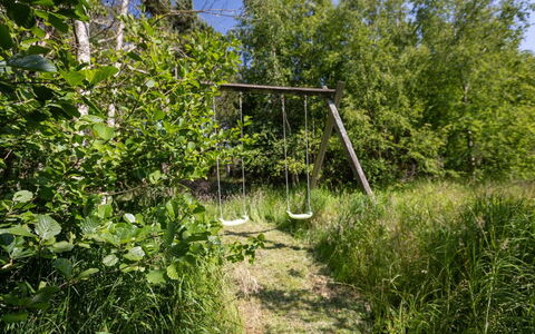Ejvi - 4Km from the Sea: Grass, Natural Environment, Vegetation, Shrub, Plant Community, Groundcover, Nature Reserve, Forest, Woodland