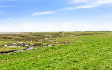 Stefani - 2Km from the Sea: House, Roof, Home, Cottage, Shed, Garden Buildings, Siding, Yard, Log Cabin, Hut