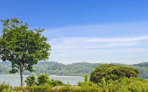 Thorward - 100M from the Sea: Wood, Home, Porch, Deck, Hardwood, Roof, Wood Stain, Wood Flooring, Eco Hotel
