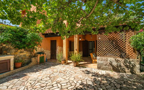 Cordolino Blu: Plant, Building, Window, House, Road Surface, Door, Land Lot, Tree, Brick, Residential Area