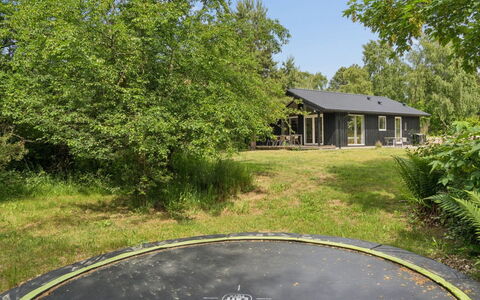 Vojdan - 600M from the Sea: Tree, Grass, Shrub, Land Lot, Rural Area, Home, Garden, Cottage, Lawn