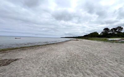 Vojdan - 600M from the Sea