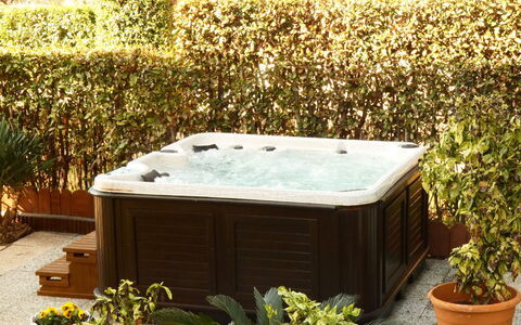 Villa Paradiso: Plant, Property, Plant Community, Flowerpot, Yellow, Vegetation, Rectangle, Grass, Landscape, Shrub