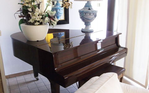 Villa Paradiso: Property, Furniture, Plant, White, Flowerpot, Interior Design, Wood, Comfort, Flooring, Floor