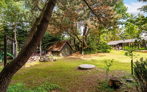 Jenvold - 1.5Km from the Sea: Tree, Leaf, Grass, Nature, Branch, Shrub, Garden, Land Lot, Rural Area, Cottage