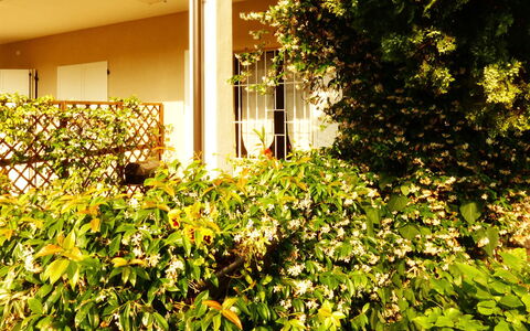 Casa Vacanze Sabrina: Plant, Building, Vegetation, Sunlight, Woody Plant, Groundcover, Grass, Tints And Shades, Shrub, Natural Landscape