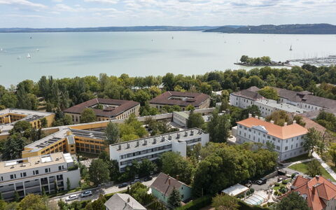Lily: Tree, Bird'S-Eye View, Residential Area, City, Urban Area, Landscape, Aerial Photography, Neighbourhood, Coastal And Oceanic Landforms, Urban Design