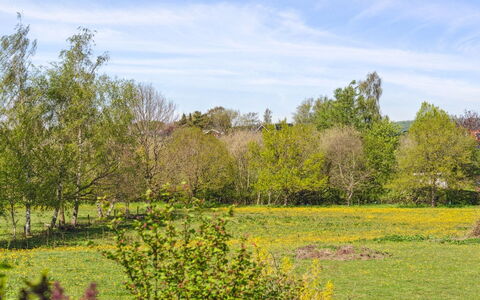 Sölvy - 300M from the Sea: Tree, Grass, Green, Leaf, Nature, Natural Environment, Branch, Grassland, Natural Landscape, Vegetation