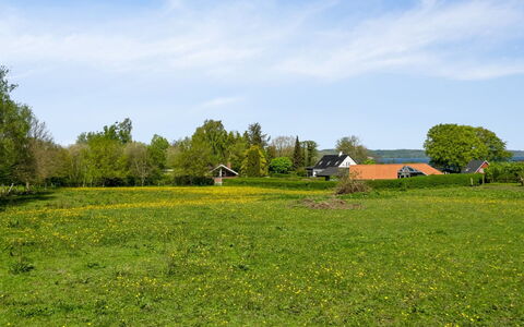 Sölvy - 300M from the Sea: Sky, Green, Grass, Tree, Grassland, Yellow, Natural Landscape, Plain, Summer